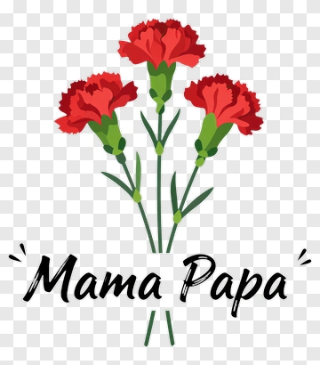 Red Carnations With Mama Papa Text PNG