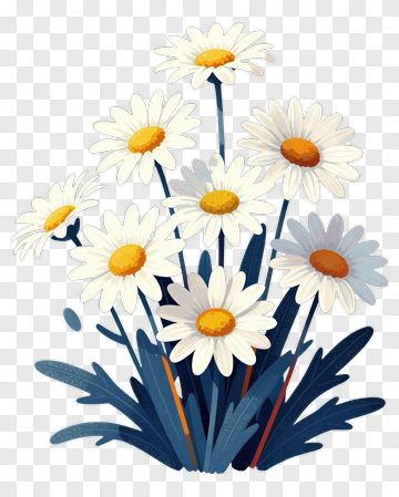 Flower Bouquet Of Daisies PNG
