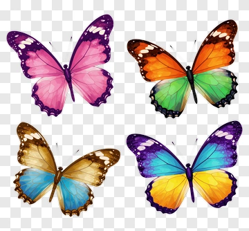 Colorful Butterflies PNG