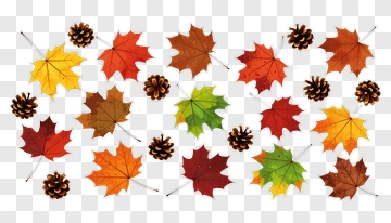 Colorful Autumn Leaves And Pine Cones PNG