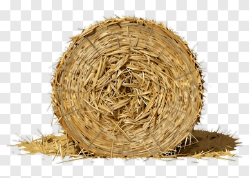 Hay Bale PNG