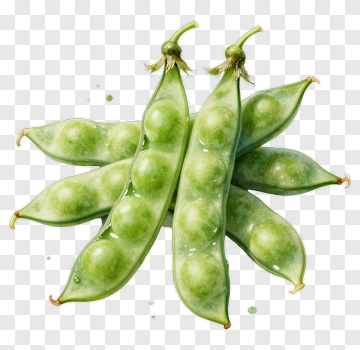 Fresh Green Peas In A Pod PNG
