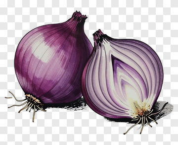 Purple Onions PNG