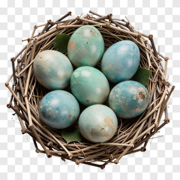 Nest Of Blue Eggs PNG