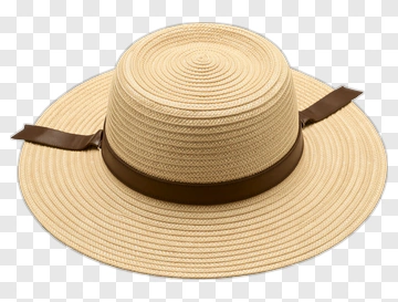 Wide Brim Straw Hat With Brown Ribbon PNG