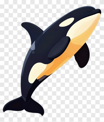 Cartoon Orca Swimming PNG