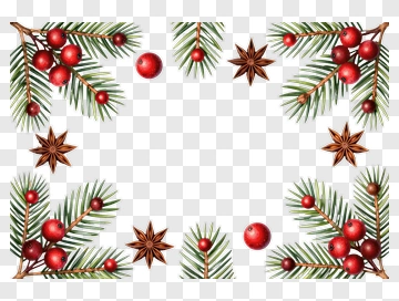 Christmas Pine Branches With Red Berries And Star Anise PNG