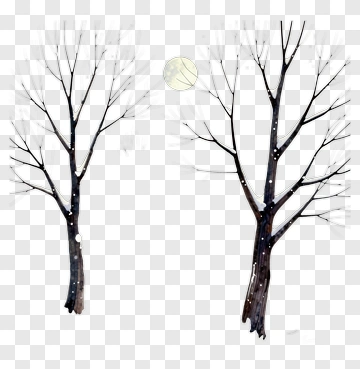 Winter Trees With Moon PNG