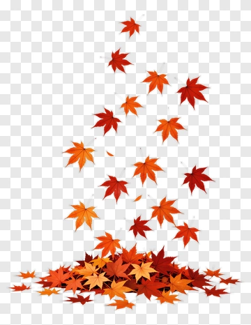 Falling Autumn Leaves PNG