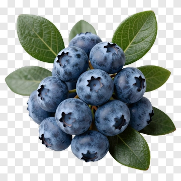 Fresh Blueberries With Green Leaves PNG
