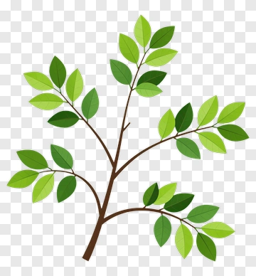 Green Leafy Branch PNG