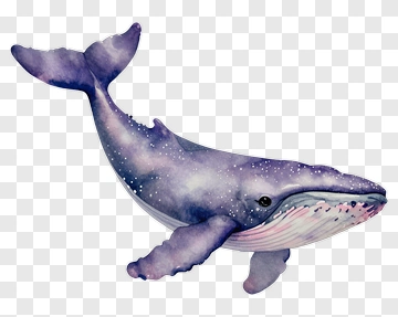 Watercolor Whale Swimming In Space PNG