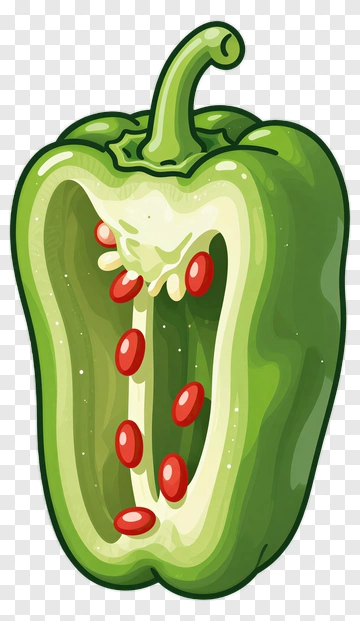 Green Bell Pepper Cut In Half PNG
