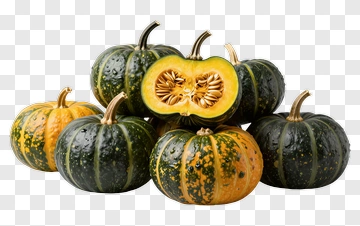 Colorful Pumpkin Arrangement PNG