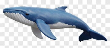 3D Blue Whale Model PNG
