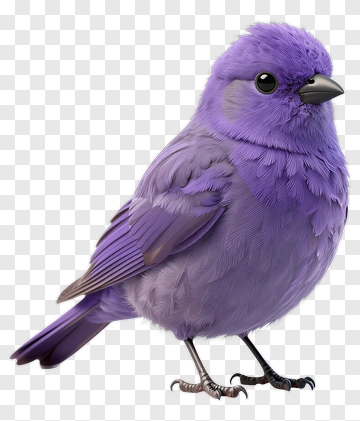 Purple Bird PNG