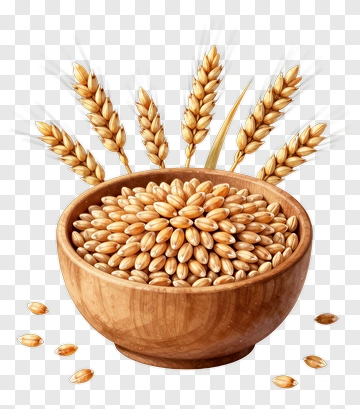 Wooden Bowl Filled With Wheat Grains And Wheat Stalks PNG