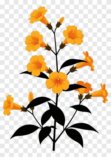 Colorful Flower Bouquet PNG