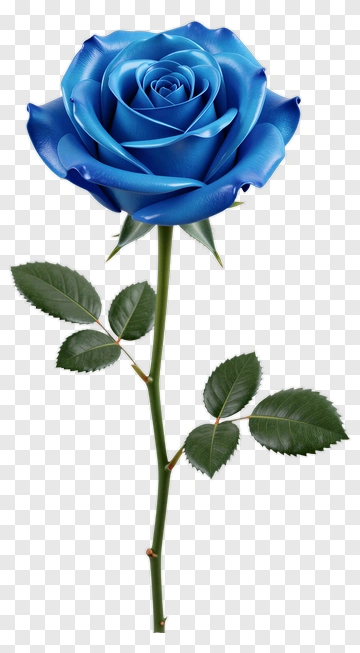 Blue Rose With Green Leaves PNG
