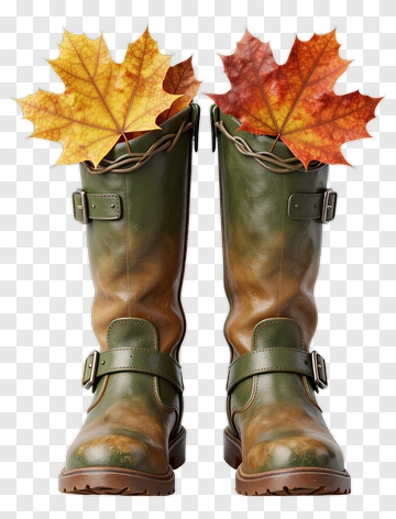 Green Boots With Autumn Leaves PNG