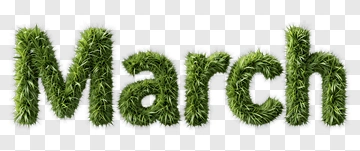 Grass Text March PNG