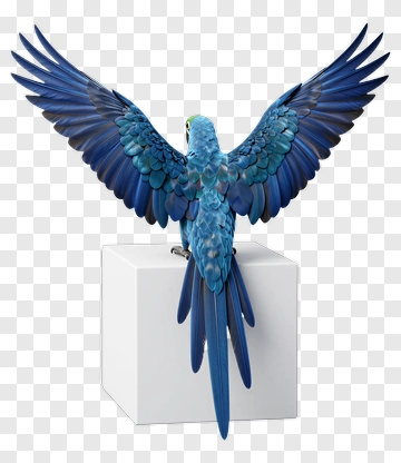 3D Blue Parrot With Outstretched Wings PNG