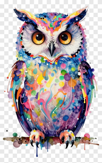 Colorful Owl Illustration PNG