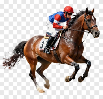 Jockey Riding A Racehorse PNG