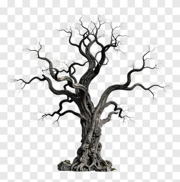 Twisted Tree With Gnarled Branches PNG