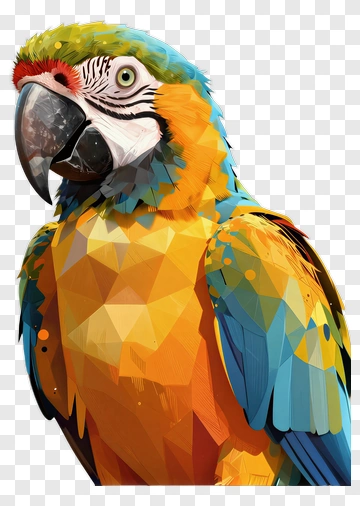 Colorful Parrot Portrait PNG
