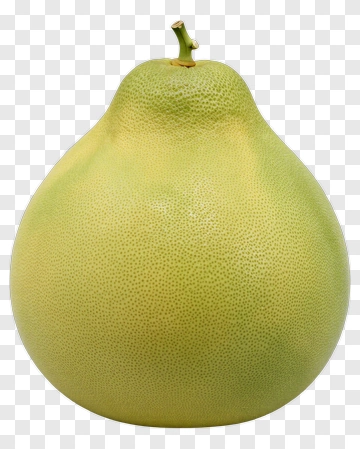 Green Pear PNG