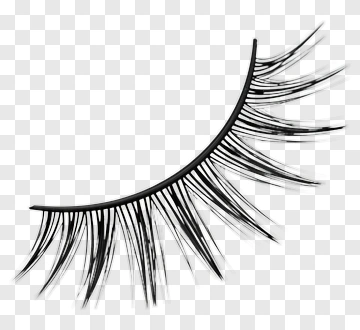 Eyelash Design PNG