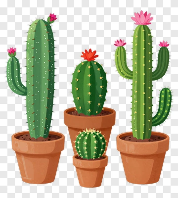 Colorful Cacti In Flower Pots PNG