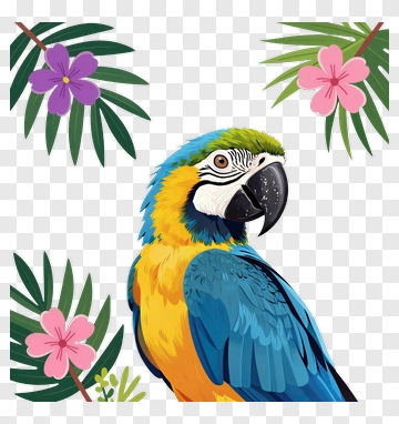 Colorful Macaw Parrot Surrounded By Tropical Flowers PNG