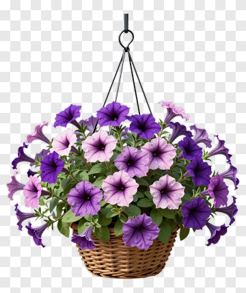 Hanging Flower Basket With Petunias PNG