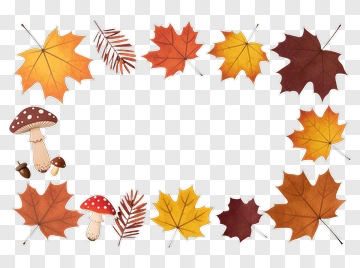 Autumn Leaves And Mushrooms Frame PNG