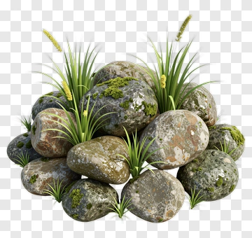Rock Pile With Grass PNG