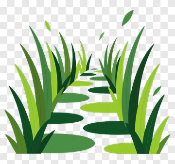 Green Grass Pathway PNG
