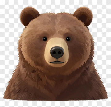 Cartoon Bear Face PNG