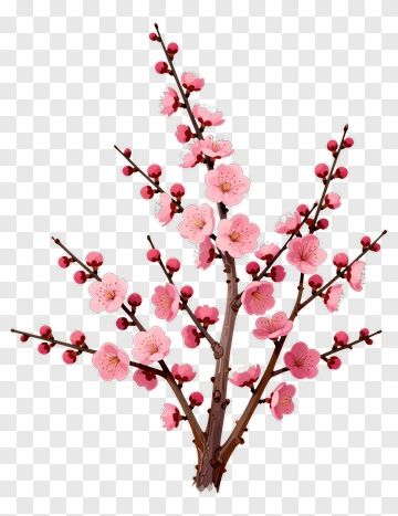 Cherry Blossom Branch With Pink Flowers PNG