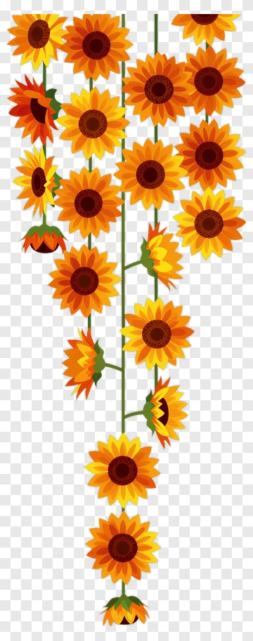 Colorful Sunflower Arrangement PNG