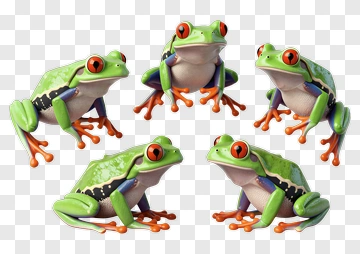 3D Green Frog Group PNG