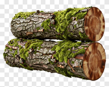 Mossy Logs PNG