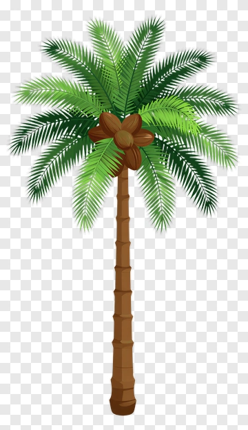 Colorful Palm Tree PNG
