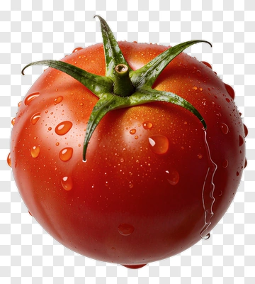 Fresh Red Tomato With Water Droplets PNG