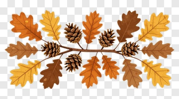 Autumn Oak Leaves And Pinecones Arrangement PNG