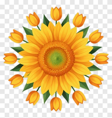 Colorful Sunflower With Tulips PNG