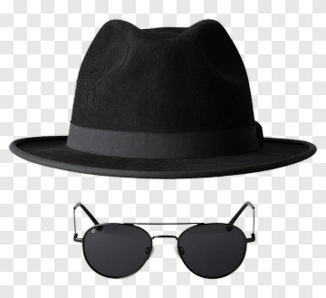 Black Fedora Hat And Sunglasses PNG