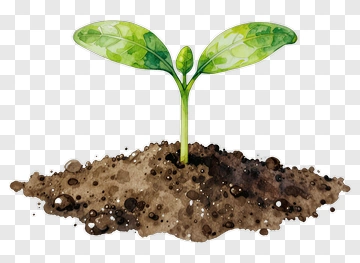 Watercolor Plant Sprouting From Soil PNG