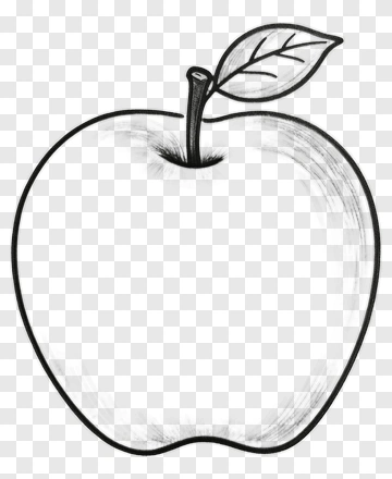Sketch Apple With Leaf PNG